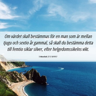 Picture 06 - 3 Mosebok 27:3 SV1917 - Om värdet skall bestämmas för en man som är - Bible Verse Picture