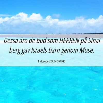 Picture 06 - 3 Mosebok 27:34 SV1917 - Dessa äro de bud som HERREN på Sinai berg gav - Bible Verse Picture