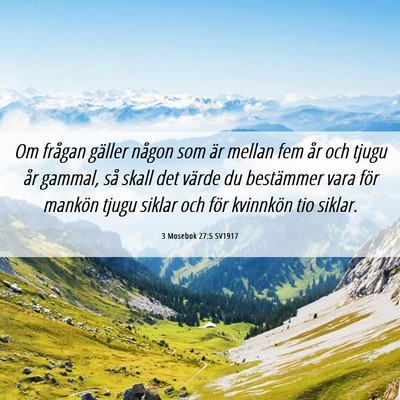 Picture 06 - 3 Mosebok 27:5 SV1917 - Om frågan gäller någon som är mellan fem år - Bible Verse Picture