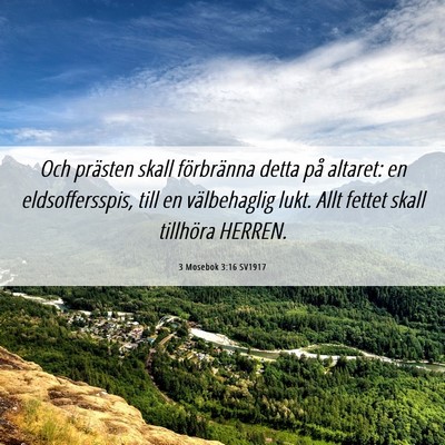 Picture 06 - 3 Mosebok 3:16 SV1917 - Och prästen skall förbränna detta på altaret: - Bible Verse Picture