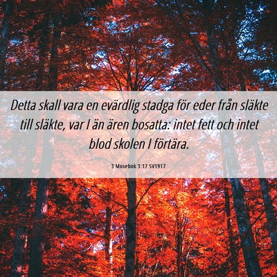 Picture 06 - 3 Mosebok 3:17 SV1917 - Detta skall vara en evärdlig stadga för eder - Bible Verse Picture