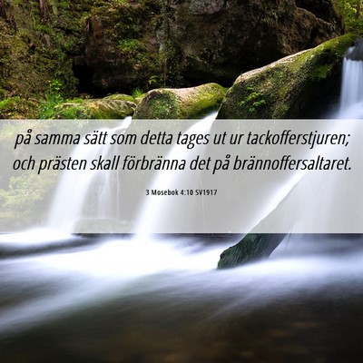Picture 06 - 3 Mosebok 4:10 SV1917 - på samma sätt som detta tages ut ur - Bible Verse Picture