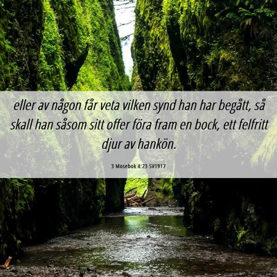 Picture 06 - 3 Mosebok 4:23 SV1917 - eller av någon får veta vilken synd han har - Bible Verse Picture