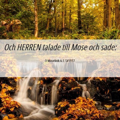 Picture 06 - 3 Mosebok 6:1 SV1917 - Och HERREN talade till Mose och - Bible Verse Picture
