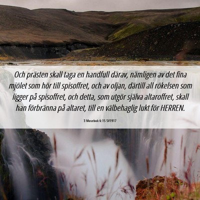 Picture 06 - 3 Mosebok 6:15 SV1917 - Och prästen skall taga en handfull därav, - Bible Verse Picture