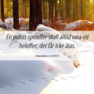 Picture 06 - 3 Mosebok 6:23 SV1917 - En prästs spisoffer skall alltid vara ett - Bible Verse Picture