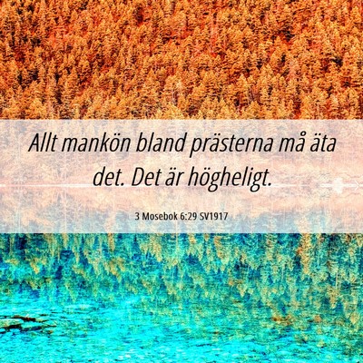 Picture 06 - 3 Mosebok 6:29 SV1917 - Allt mankön bland prästerna må äta det. Det - Bible Verse Picture