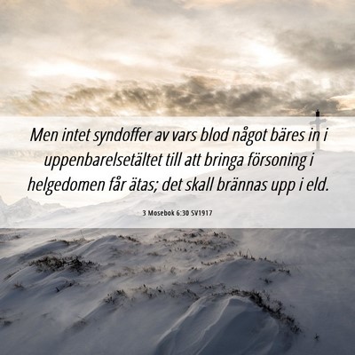 Picture 06 - 3 Mosebok 6:30 SV1917 - Men intet syndoffer av vars blod något bäres in - Bible Verse Picture