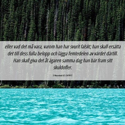 Picture 06 - 3 Mosebok 6:5 SV1917 - eller vad det må vara, varom han har svurit - Bible Verse Picture