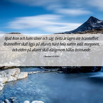 Picture 06 - 3 Mosebok 6:9 SV1917 - Bjud Aron och hans söner och säg: Detta är - Bible Verse Picture