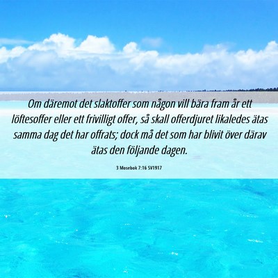 Picture 06 - 3 Mosebok 7:16 SV1917 - Om däremot det slaktoffer som någon vill bära - Bible Verse Picture
