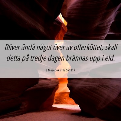 Picture 06 - 3 Mosebok 7:17 SV1917 - Bliver ändå något över av offerköttet, skall - Bible Verse Picture