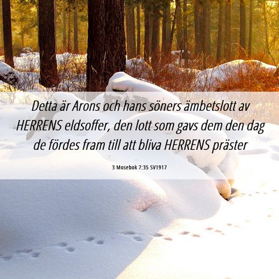 Picture 06 - 3 Mosebok 7:35 SV1917 - Detta är Arons och hans söners ämbetslott av - Bible Verse Picture