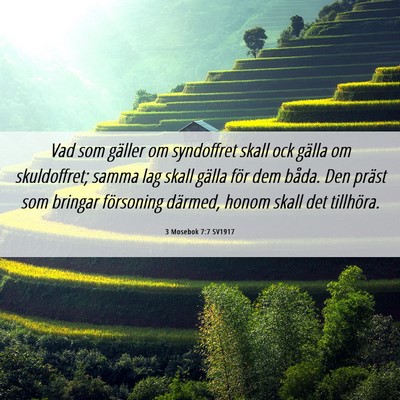 Picture 06 - 3 Mosebok 7:7 SV1917 - Vad som gäller om syndoffret skall ock gälla om - Bible Verse Picture
