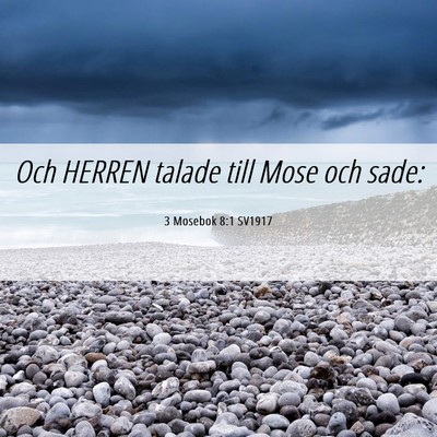 Picture 06 - 3 Mosebok 8:1 SV1917 - Och HERREN talade till Mose och - Bible Verse Picture