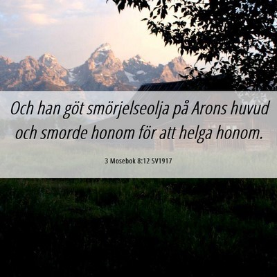 Picture 06 - 3 Mosebok 8:12 SV1917 - Och han göt smörjelseolja på Arons huvud och - Bible Verse Picture
