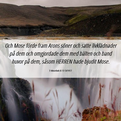 Picture 06 - 3 Mosebok 8:13 SV1917 - Och Mose förde fram Arons söner och satte - Bible Verse Picture