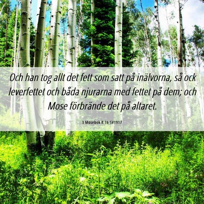 Picture 06 - 3 Mosebok 8:16 SV1917 - Och han tog allt det fett som satt på - Bible Verse Picture