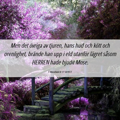 Picture 06 - 3 Mosebok 8:17 SV1917 - Men det övriga av tjuren, hans hud och kött och - Bible Verse Picture