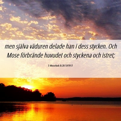 Picture 06 - 3 Mosebok 8:20 SV1917 - men själva väduren delade han i dess stycken. - Bible Verse Picture