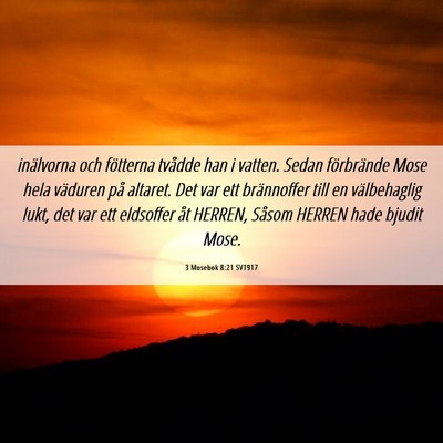 Picture 06 - 3 Mosebok 8:21 SV1917 - inälvorna och fötterna tvådde han i vatten. - Bible Verse Picture