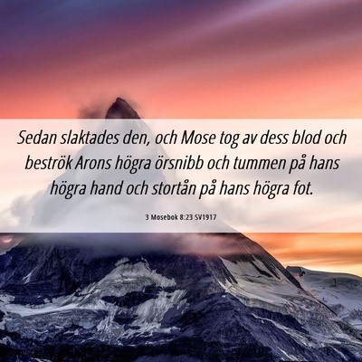 Picture 06 - 3 Mosebok 8:23 SV1917 - Sedan slaktades den, och Mose tog av dess blod - Bible Verse Picture