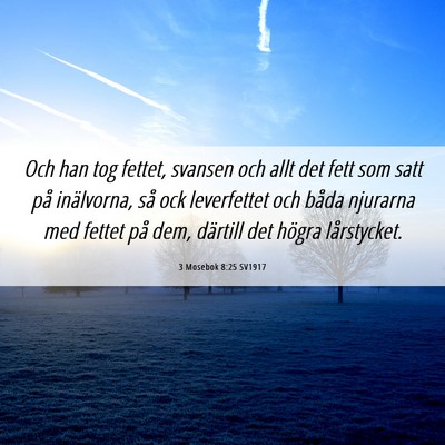 Picture 06 - 3 Mosebok 8:25 SV1917 - Och han tog fettet, svansen och allt det fett som - Bible Verse Picture