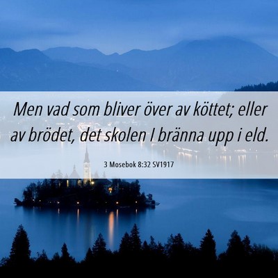 Picture 06 - 3 Mosebok 8:32 SV1917 - Men vad som bliver över av köttet; eller av - Bible Verse Picture