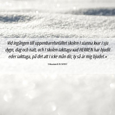 Picture 06 - 3 Mosebok 8:35 SV1917 - Vid ingången till uppenbarelsetältet skolen I - Bible Verse Picture