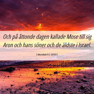 Picture 06 - 3 Mosebok 9:1 SV1917 - Och på åttonde dagen kallade Mose till sig Aron - Bible Verse Picture