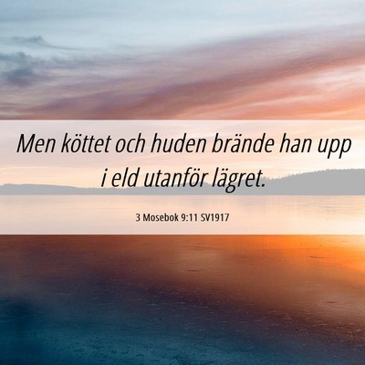 Picture 06 - 3 Mosebok 9:11 SV1917 - Men köttet och huden brände han upp i eld - Bible Verse Picture