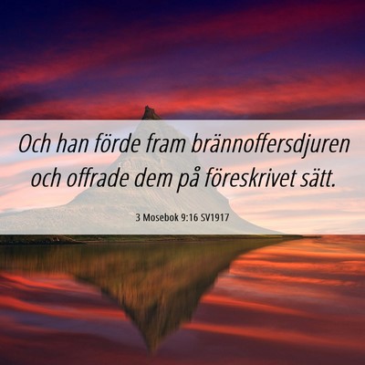 Picture 06 - 3 Mosebok 9:16 SV1917 - Och han förde fram brännoffersdjuren och - Bible Verse Picture