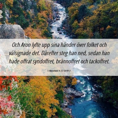 Picture 06 - 3 Mosebok 9:22 SV1917 - Och Aron lyfte upp sina händer över folket och - Bible Verse Picture