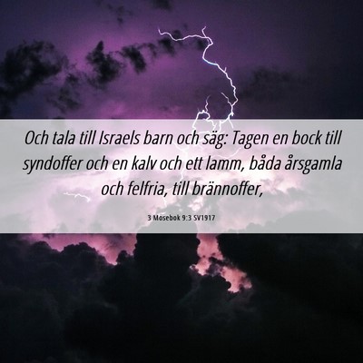 Picture 06 - 3 Mosebok 9:3 SV1917 - Och tala till Israels barn och säg: Tagen en - Bible Verse Picture