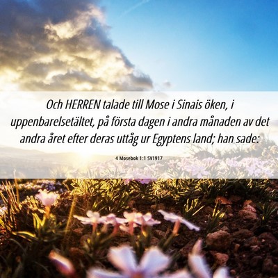 Picture 06 - 4 Mosebok 1:1 SV1917 - Och HERREN talade till Mose i Sinais öken, i - Bible Verse Picture