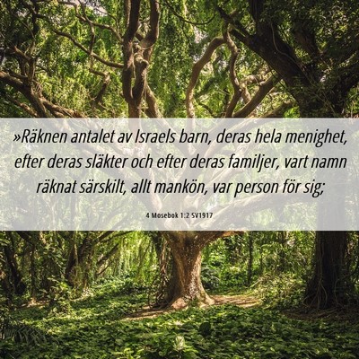 Picture 06 - 4 Mosebok 1:2 SV1917 - »Räknen antalet av Israels barn, deras hela - Bible Verse Picture