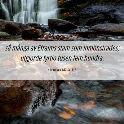 Picture 06 - 4 Mosebok 1:33 SV1917 - så många av Efraims stam som inmönstrades; - Bible Verse Picture