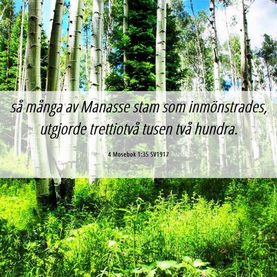 Picture 06 - 4 Mosebok 1:35 SV1917 - så många av Manasse stam som inmönstrades, - Bible Verse Picture