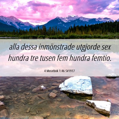 Picture 06 - 4 Mosebok 1:46 SV1917 - alla dessa inmönstrade utgjorde sex hundra tre - Bible Verse Picture