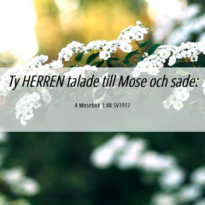 Picture 06 - 4 Mosebok 1:48 SV1917 - Ty HERREN talade till Mose och - Bible Verse Picture