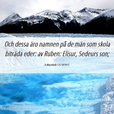 Picture 06 - 4 Mosebok 1:5 SV1917 - Och dessa äro namnen på de män som skola - Bible Verse Picture