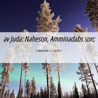 Picture 06 - 4 Mosebok 1:7 SV1917 - av Juda: Naheson, Amminadabs - Bible Verse Picture