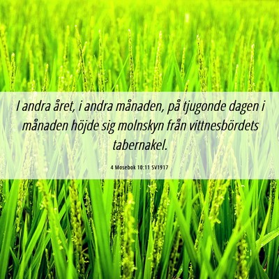 Picture 06 - 4 Mosebok 10:11 SV1917 - I andra året, i andra månaden, på tjugonde - Bible Verse Picture
