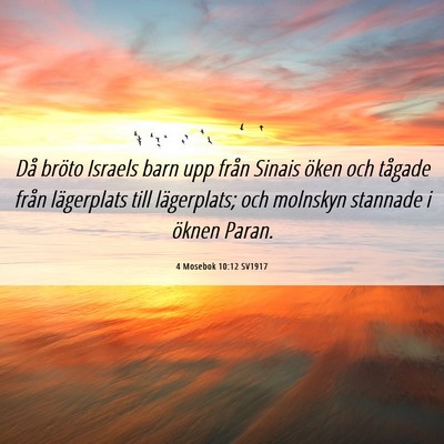 Picture 06 - 4 Mosebok 10:12 SV1917 - Då bröto Israels barn upp från Sinais öken - Bible Verse Picture