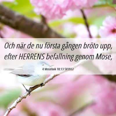 Picture 06 - 4 Mosebok 10:13 SV1917 - Och när de nu första gången bröto upp, efter - Bible Verse Picture