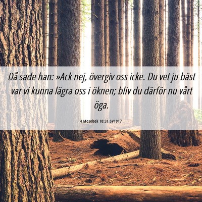 Picture 06 - 4 Mosebok 10:31 SV1917 - Då sade han: »Ack nej, övergiv oss icke. Du - Bible Verse Picture