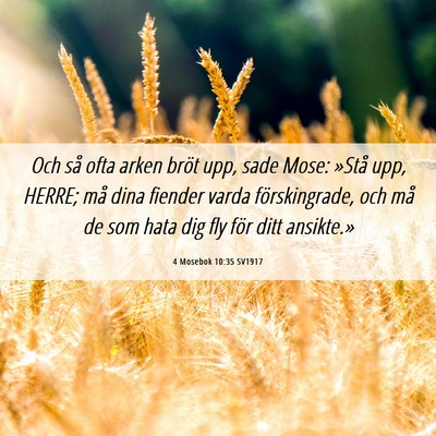 Picture 06 - 4 Mosebok 10:35 SV1917 - Och så ofta arken bröt upp, sade Mose: »Stå - Bible Verse Picture