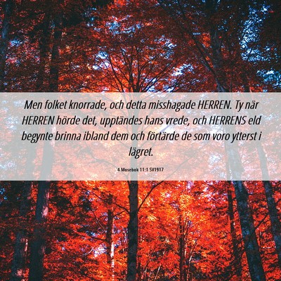 Picture 06 - 4 Mosebok 11:1 SV1917 - Men folket knorrade, och detta misshagade HERREN. - Bible Verse Picture