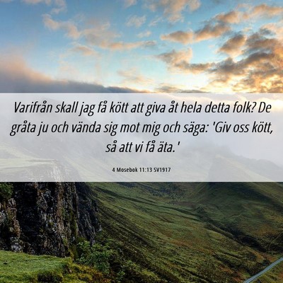 Picture 06 - 4 Mosebok 11:13 SV1917 - Varifrån skall jag få kött att giva åt hela - Bible Verse Picture