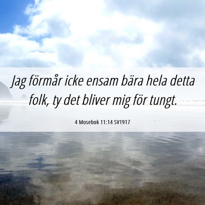 Picture 06 - 4 Mosebok 11:14 SV1917 - Jag förmår icke ensam bära hela detta folk, ty - Bible Verse Picture